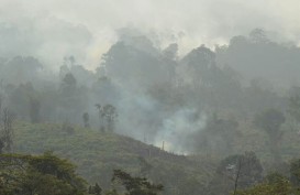 Hutan Gunung Lawu Kembali Terbakar
