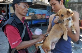 Peraturan Desa Sanur Kaja Larang Konsumsi Daging Anjing