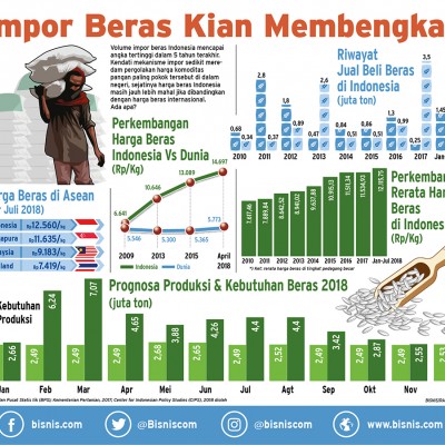 Data Beras Versi Bps Dinilai Dekati Kondisi Riil Ekonomi Bisnis 