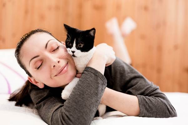 Biaya periksa kucing ke dokter hewan