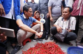 Satgas Pangan Riau: Fluktuasi Harga Cabai masih Wajar, Harga Beras Stabil