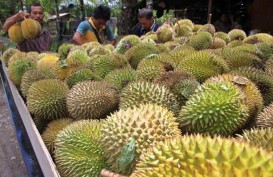 Malaysia Dorong Ekspor Durian ke China