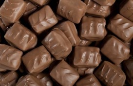 Cokelat Lokal Organik Berpeluang Perluas Pasar Ekspor