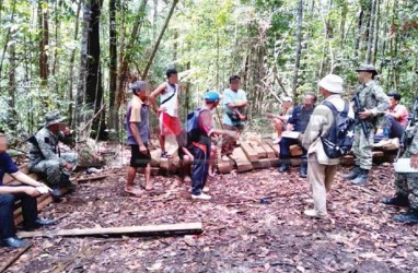 Lima Penebang Kayu di Sarawak Ditangkap TNI, Dimintai Uang Tebusan RM 10.000