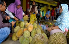Kualitas Durian Mijen Terpengaruh Cuaca