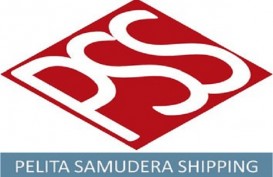 Pelita Samudra Shipping (PSSI) Berencana Tambah 8 Unit Kapal