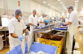 Suplai Bahan Baku Dorong Utilisasi Industri Pengolahan Ikan