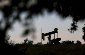 Ekspektasi Saudi dan OPEC Abaikan Seruan Trump, Harga Minyak Menguat