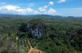 Sumsel Lepas 98.947 Hektare Hutan Sosial ke Masyarakat
