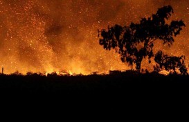 Kemarau 2019 lebih Kering, BRG Antisipasi Kebakaran Lahan Gambut