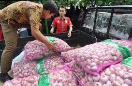 Harga Bawang Putih di Kalimantan Timur Naik