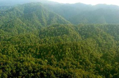 Laju Deforestasi Diklaim Turun 40.000 hektare
