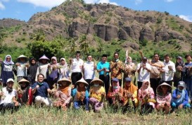 Demplot Pupuk Indonesia Grup Dorong Produktivitas Tanaman Pangan