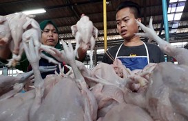 Daging Ayam Tak Begitu Pengaruhi Inflasi Ramadan dan Lebaran