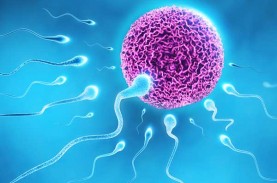 Gunakan Sperma Sendiri untuk Inseminasi, Izin Praktik…