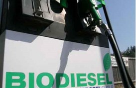 ERA KENDARAAN LISTRIK : Biofuel Bisa Jadi Alternatif 