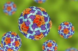 Mengenal Hepatitis A dan Pencegahannya