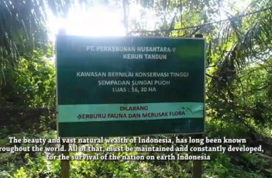 PTPN V Resmi Kembalikan 2.800 Hektare Lahan kepada Negara
