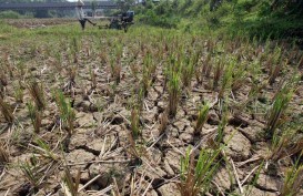 Dampak Kemarau, Empat Kabupaten di Jateng Kekurangan Air Bersih
