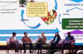 Indonesia Terlalu Andalkan Beras, Puluhan Sumber Pangan Lain Tersisihkan
