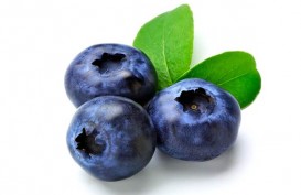 Perlambat Penuaan dengan Konsumsi Blueberry   