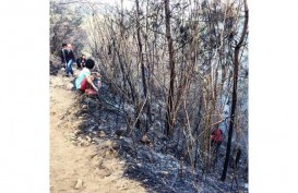 BNPB Kerahkan Helikopter untuk Padamkan Kebakaran Hutan Gunung Arjuno
