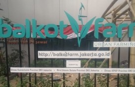 Budi Daya Tanaman Berbasis Teknologi, Bank DKI Dukung Program Balkot Farm