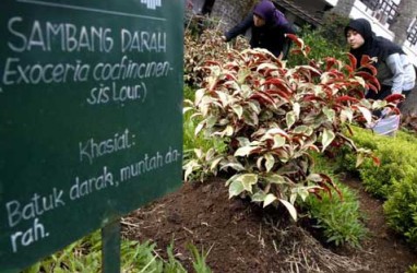 Bakal Ada Urban Farming di Setiap Kantor Wali Kota di Jakarta