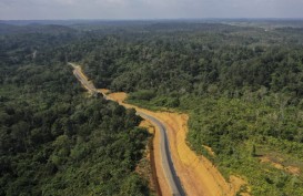 Kalimantan Barat Paling Diuntungkan Perpindahan Ibu Kota