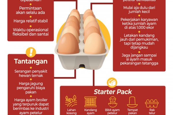 Bisnis Ternak Ayam Kisah Peternak Bisa Bertelur Cuan Infografik Bisnis Com