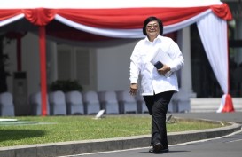 Profil Siti Nurbaya Bakar, Calon Menteri Kabinet Jokowi-Ma'ruf