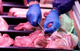 Dampak ASF, Impor Daging Babi China Melonjak 49,4 Persen