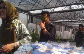 Mentan Syahrul Bantu Bibit Pertanian Mahasiswa Unhas