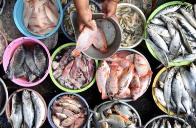 Pembangunan Pasar Ikan Bertaraf Internasional Dinilai Bukan Prioritas