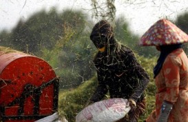 Gubernur Sumut Tegaskan Tak Beri IMB di Atas Lahan Pertanian