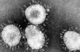 Vaksin Pneumonia yang Beredar belum Mampu Tangkal Coronavirus Wuhan