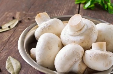 Manfaat Tak Terduga Jamur Putih untuk Diet dan Kesehatan