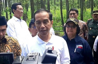 Cegah Sedimen Masuk Waduk, Jokowi Minta Reboisasi Hulu