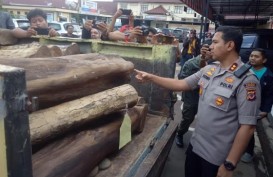 Polres Majalengka‎ Buru Tersangka Illegal Logging