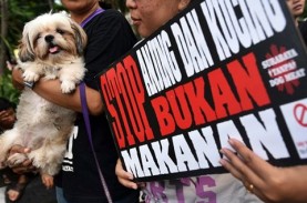 Pemprov Jateng: Stop Makan Daging Segawon (Anjing)