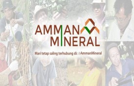 Ada Corona, Amman Mineral Tetap Akan Ekspor 372.626 wmt
