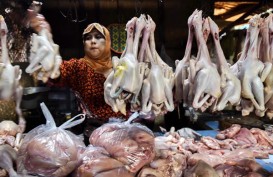 Penurunan Harga Ayam Picu Deflasi di Kota Malang pada April
