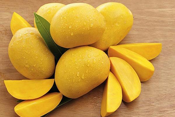 Mangga - mangamaza