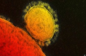 3 Orang Positif Terinfeksi Virus Corona, Toko Mitra…