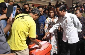 Kapal Asing Tangkap Ikan di Perairan Natuna, Susi Pudjiastuti 'Kangen' Jokowi yang Dulu