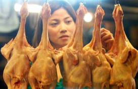 Jelang Iduladha, Mataram Datangkan 100 Ton Daging Ayam Beku