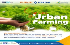 Yuk Ikut Survei Urban Farming Pupuk Kaltim, Tumbuhkan Geliat Bertani Milenial dan Masyarakat Perkotaan