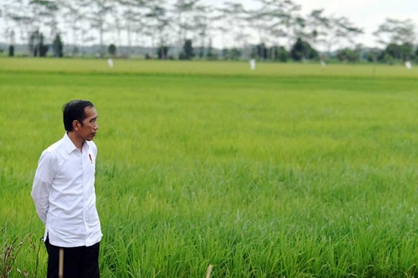 Berikut ini adalah hambatan-hambatan dalam pengembangan agrikultur di indonesia, kecuali