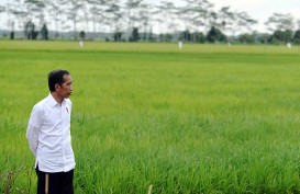 Indonesia Dihadapkan Tantangan Agrikultur dan Ketahanan Pangan