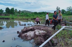 Penambangan Pasir Ilegal di Bintan Ditertibkan
